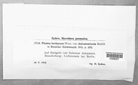 Phoma herbarum image
